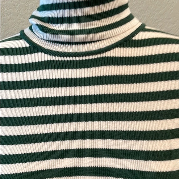 Chic Green and White Striped Turtleneck by ZARA Sz Lg - Picture 2 of 5